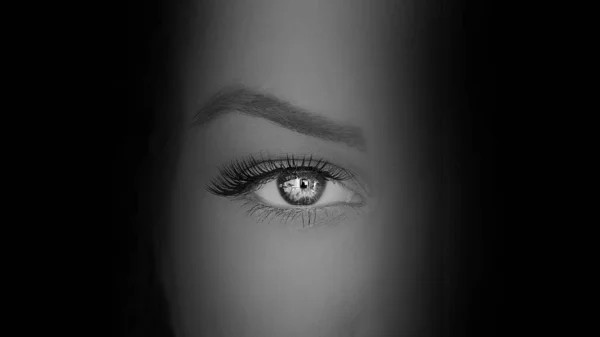 ⭐PREMIUM VOYEUR SITES⭐